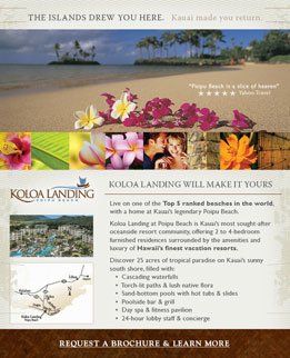 Koloa Landing Email