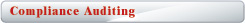 Compliance Auditing