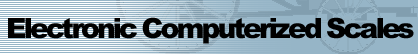 Electronic Computerized Scales