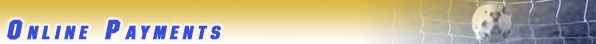 Online Payments