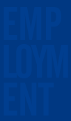 Employment Openings at IF Marketing