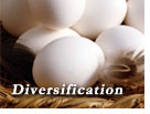 Diversification