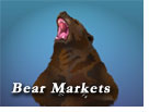 Bear Markets